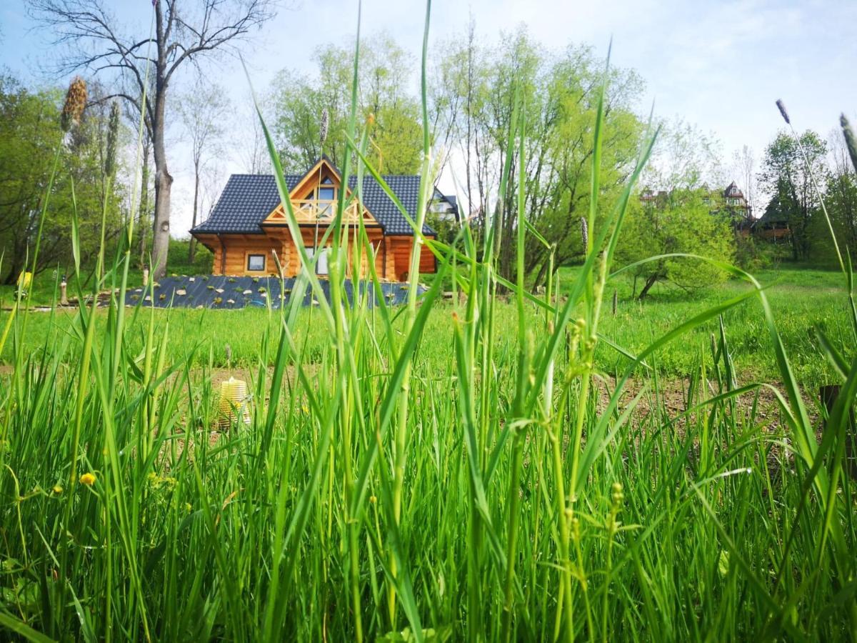 Kukulisko, Wielkanoc, Majowka 2025, Wakacje, Wolne Terminy, Zadzwon Bukowina Tatrzanska Exterior photo