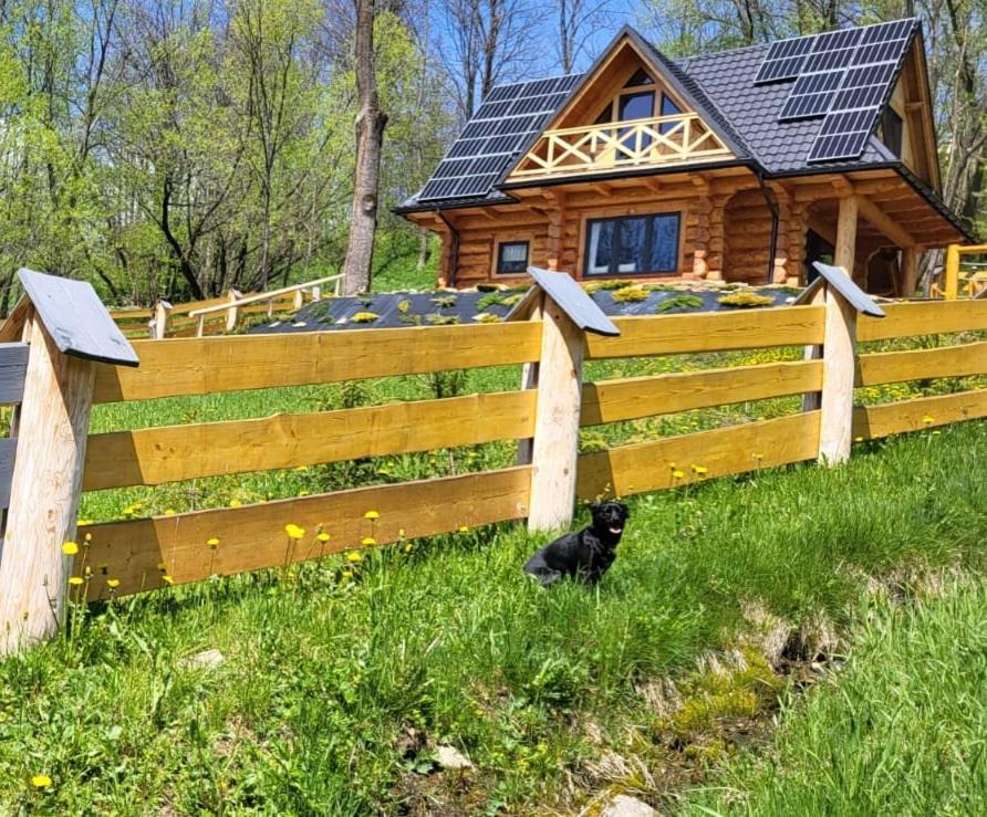 Kukulisko, Wielkanoc, Majowka 2025, Wakacje, Wolne Terminy, Zadzwon Bukowina Tatrzanska Exterior photo