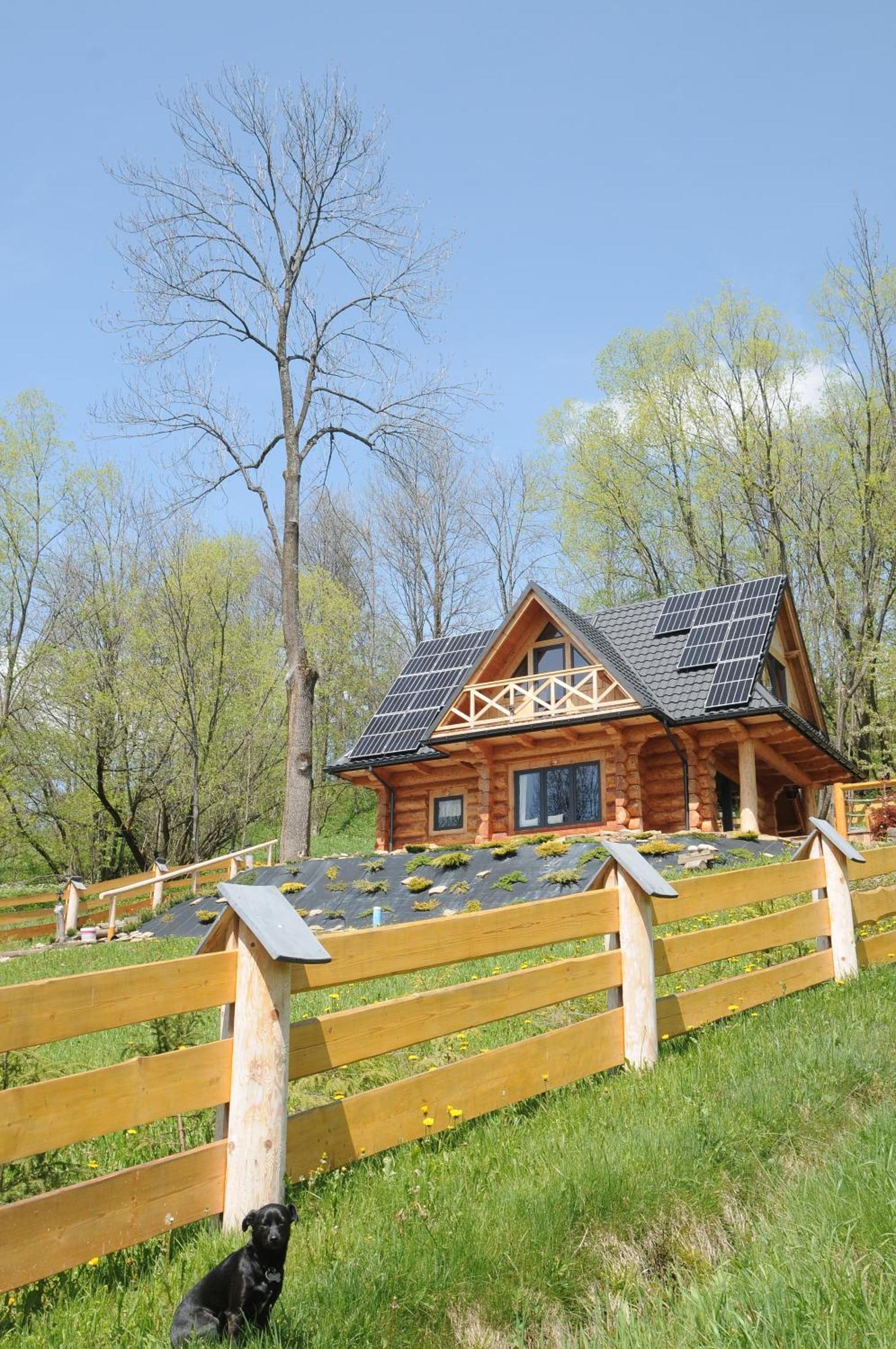 Kukulisko, Wielkanoc, Majowka 2025, Wakacje, Wolne Terminy, Zadzwon Bukowina Tatrzanska Exterior photo